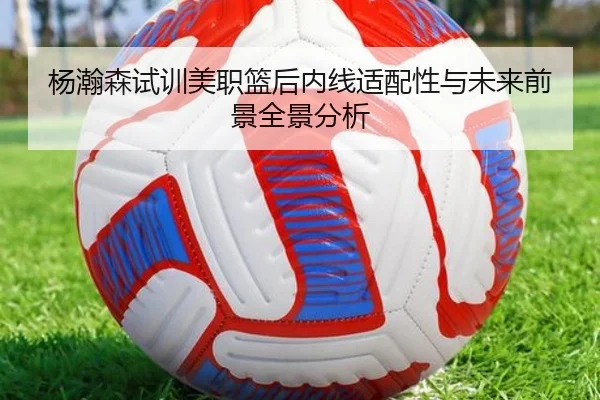 img_1783679791551_439_0_798.jpg